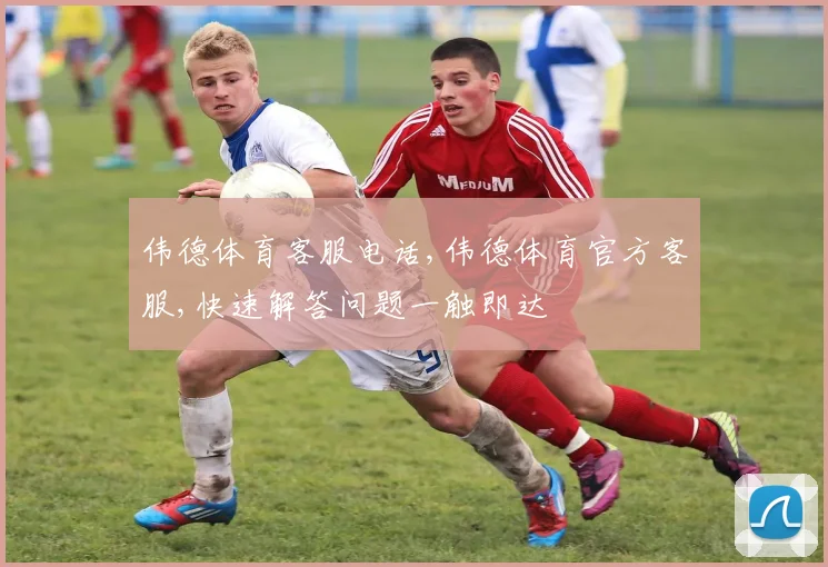 伟德体育客服电话,伟德体育官方客服,快速解答问题一触即达