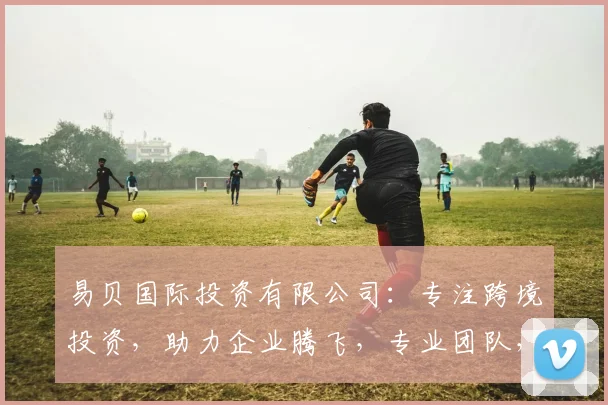 易贝国际投资有限公司：专注跨境投资，助力企业腾飞，专业团队，创新服务，共赢未来，值得信赖