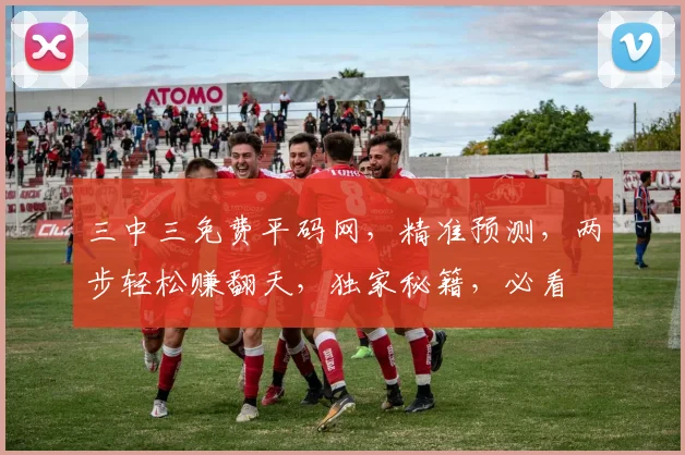 三中三免费平码网，精准预测，两步轻松赚翻天，独家秘籍，必看
